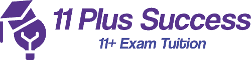 11 plus succes logo