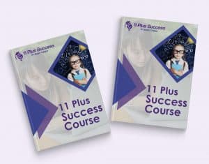 11 plus 2 ebook bundle